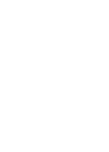 WebTotem